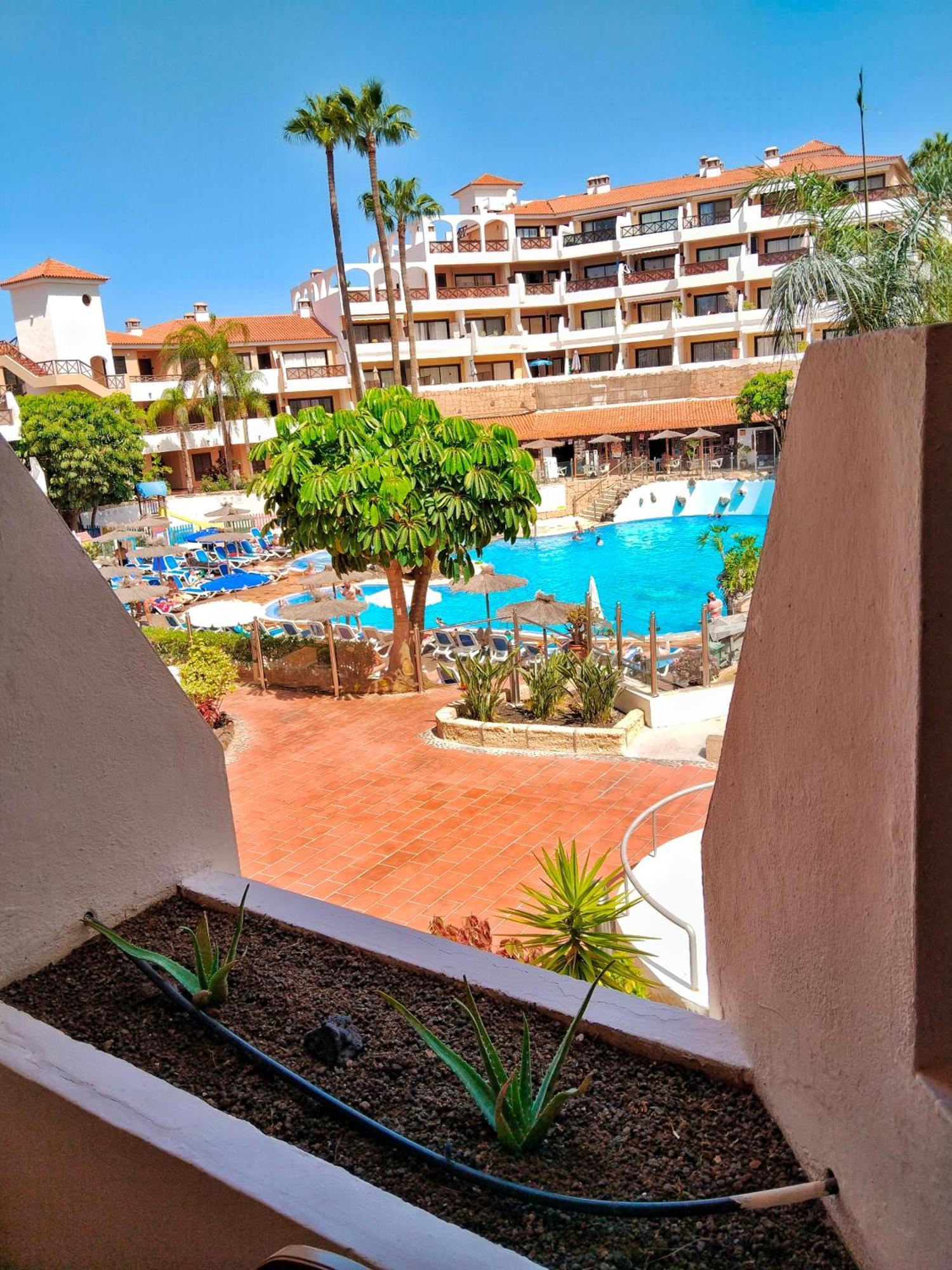 Maximar Apartment 8 Bed Places, Heated Swimmingpool Арона Екстериор снимка